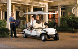 Yamaha-Golf-Utility-Transportation-Concierge