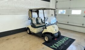 2019 Yamaha DC Electric Fleet