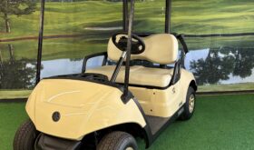 2025 Yamaha Drive2 EFI QT