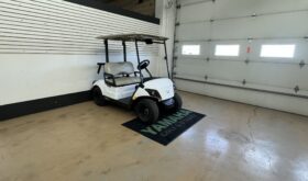 2024 Drive2 PTV Lead Acid