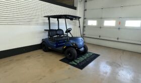 2025 Drive2 EFI QT PTV