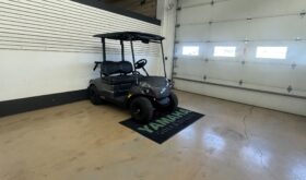 2025 Drive2 PTV EFI QT