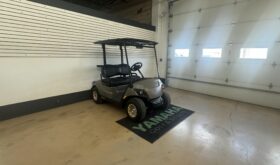 2025 Drive2 PTV EFI QT