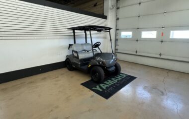 2025 Drive2 PTV EFI QT