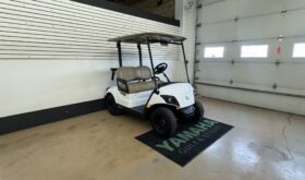 2024 Drive2 AC Lithium PTV