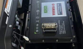 2024 Drive2 AC Lithium PTV full