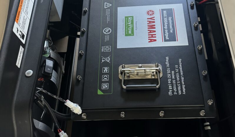 2024 Drive2 AC Lithium PTV full