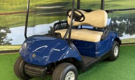 2014 Yamaha Drive1 Fleet Gas