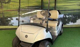 2021 Drive2 Fleet EFI QT