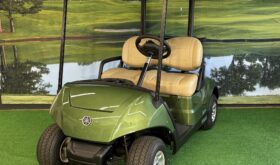 2026 Drive2 Fleet EFI QT